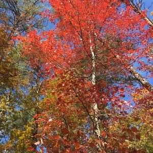 Meet your Posher, Ash